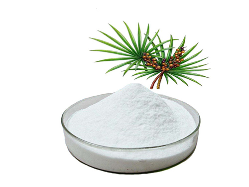 Saw Palmetto extract